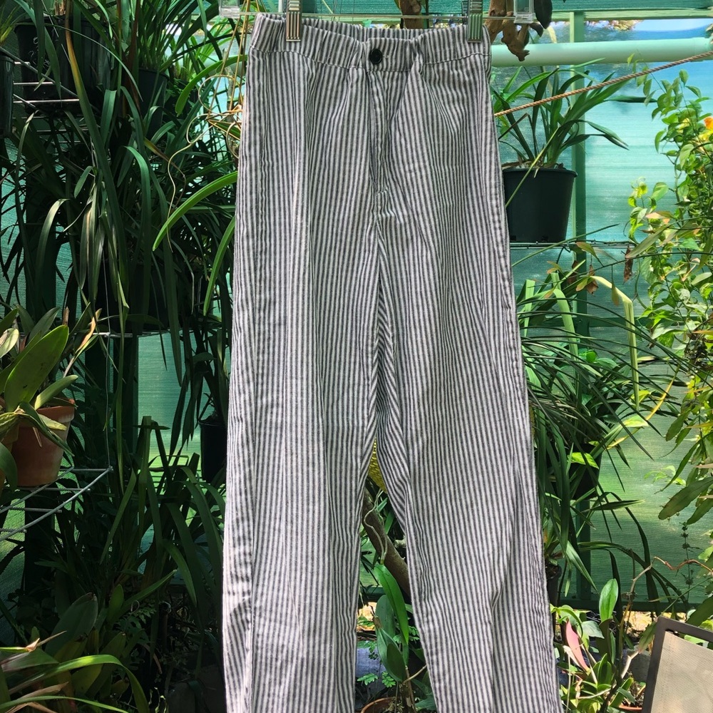 Striped Tilden Pants